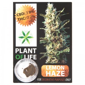 CBD Solid Lemon Haze 3,8% 1g