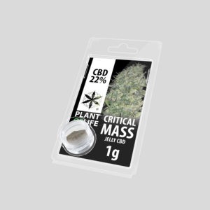 CBD Solid Critical Mass 22% 1g