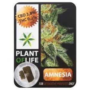 CBD Solid Amnesia 3,8% 1g