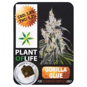 CBD Solid Gorilla Glue 3,8% 1g